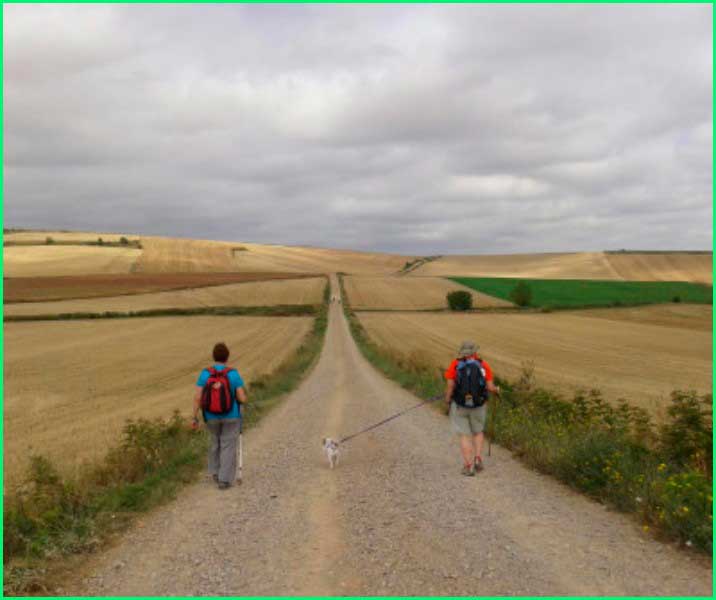 ruta Camino Francés: Nájera - Santo Domingo de la Calzada en La Rioja