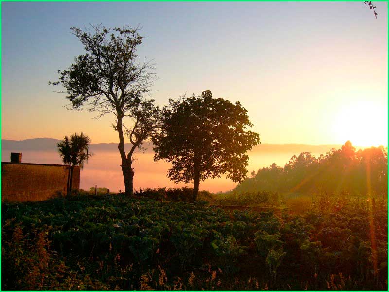 ruta Camino Francés: Negreira - Olveiroa en La Coruña