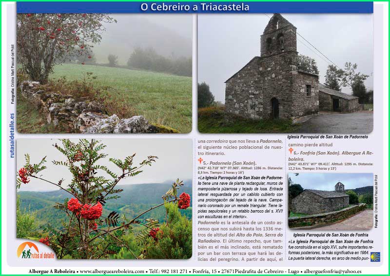ruta Camino Francés: O Cebreiro - Triacastela en Lugo