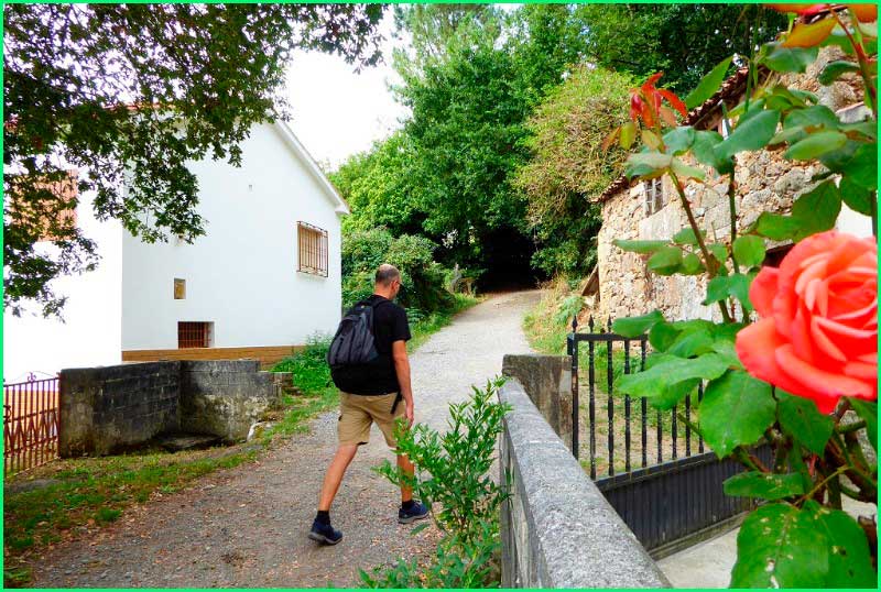 ruta Camino Francés: Palas de Rei - Melide en Pontevedra