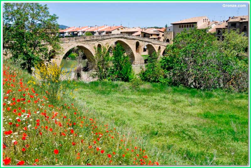 ruta Camino Francés: Pamplona - Puente La Reina en Navarra