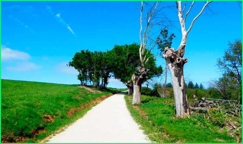 ruta Camino Francés: Portomarín - Palas de Rei en Lugo