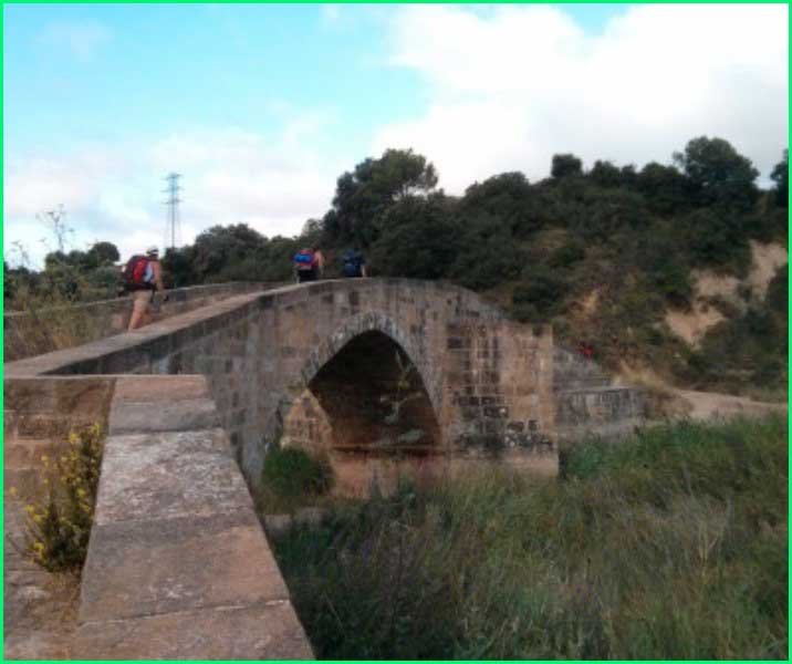 track Camino Francés: Puente la Reina - Estella en Navarra