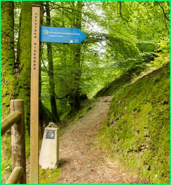 ruta Camino Francés: Roncesvalles - Zubiri en Navarra