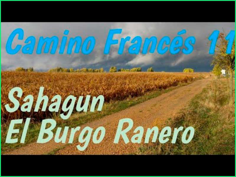 ruta Camino Francés: Sahagún - El Burgo Ranero en León