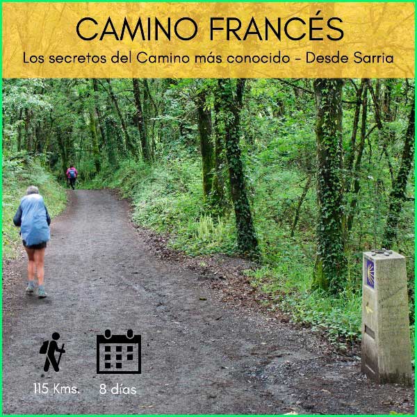 track Camino Francés: Sarria - Gonzar en Lugo