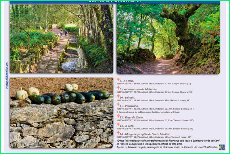 track Camino Francés: Sarria - Portomarín en Lugo
