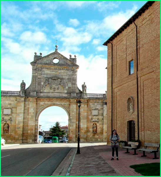 Lagartos en Palencia