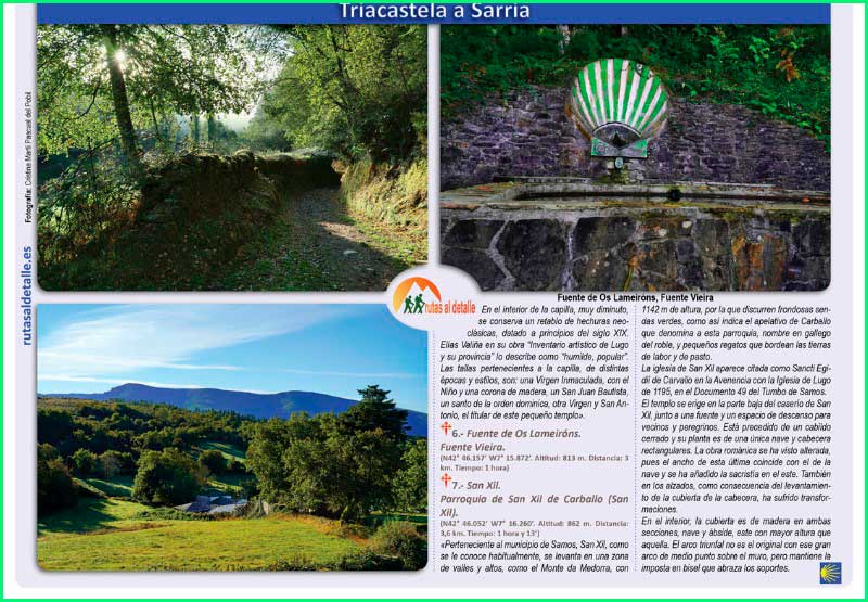 ruta Camino Francés: Triacastela - Santiago de Compostela en Lugo