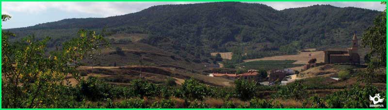 Viana en Navarra