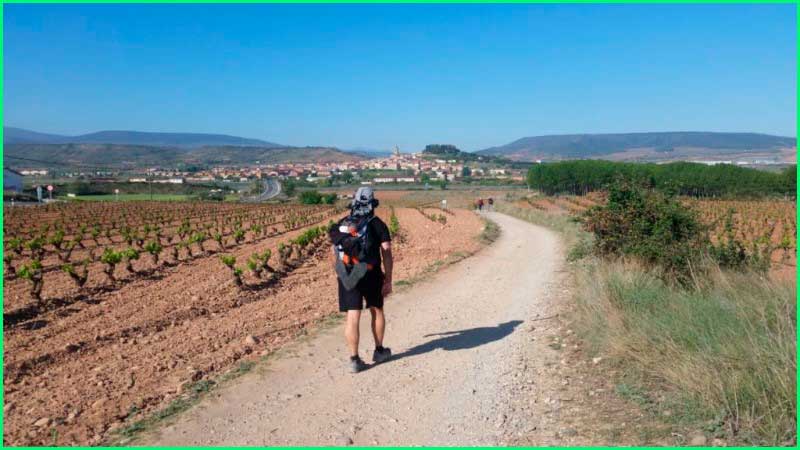 Viana en Navarra