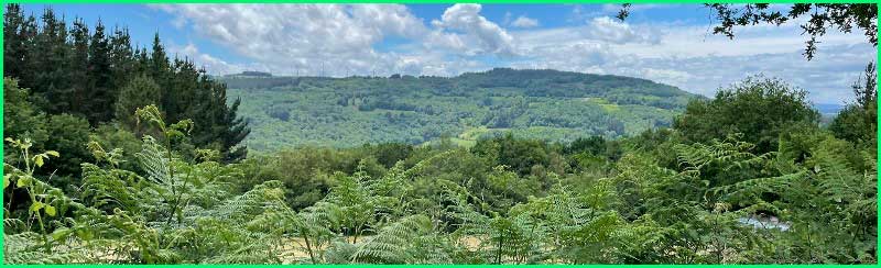 track Camino Francés: Vilei - Portomarín en Lugo