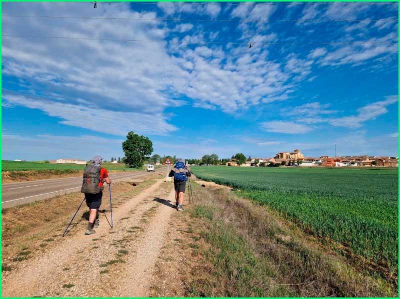 ruta Camino Francés: Villalcázar de Sirga - Calzadilla de la Cueza en Palencia