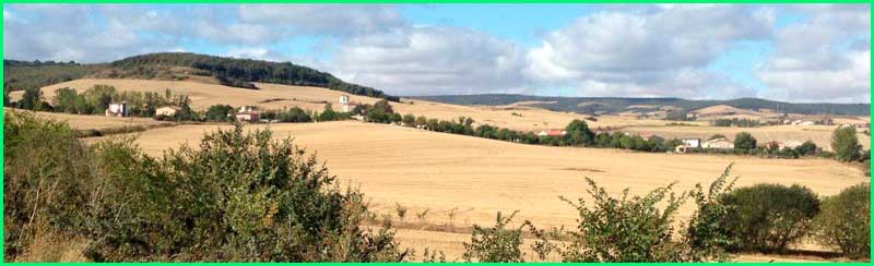 ruta Camino Francés: Villamayor del Río - Agés en Burgos