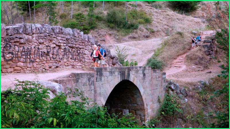 track Camino Francés: Zariquiegui - Cirauqui en Navarra