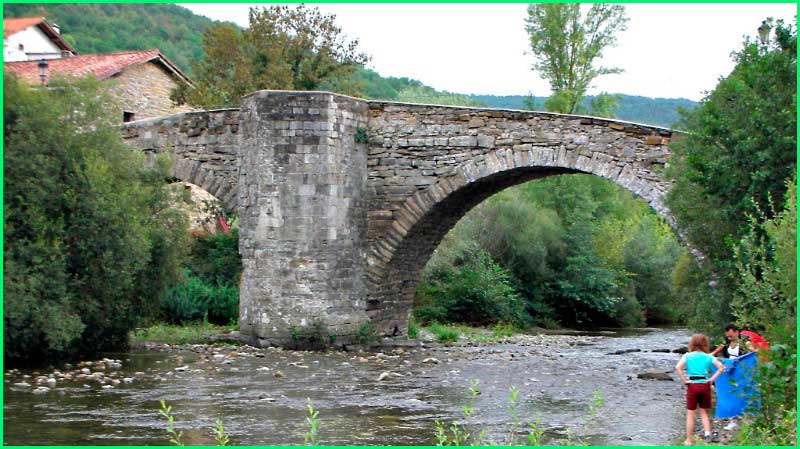 track Camino Francés: Zubiri - Pamplona en Navarra