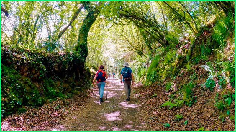 ruta Camino Inglés: San Lorenzo de Bruma a Sigüeiro en La Coruña