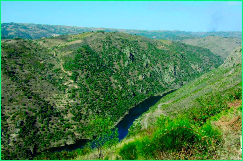track Camino Natural de la Senda del Duero en Valladolid