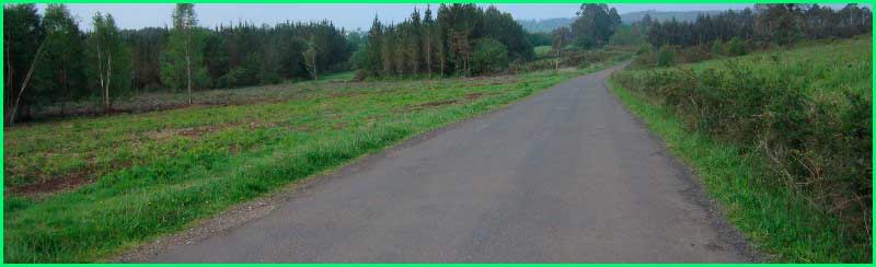 track Camino Primitivo: A Covela a Melide en Lugo