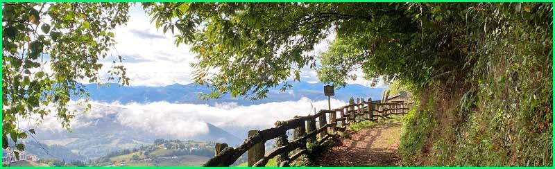 Salas en Asturias