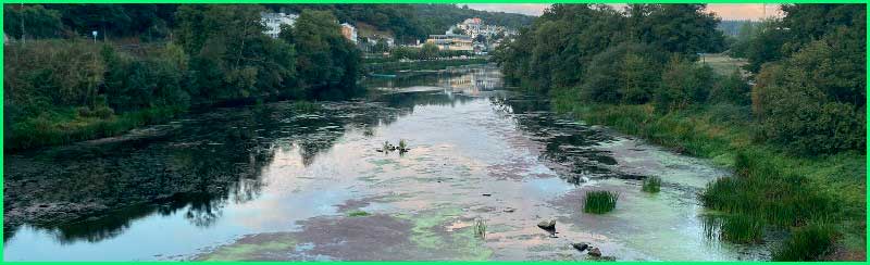 Lugo en Lugo