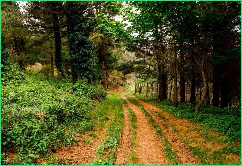 ruta Camino Primitivo: Tineo a Pola de Allande en Asturias
