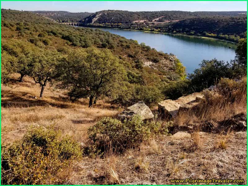 Riego del Camino en Zamora