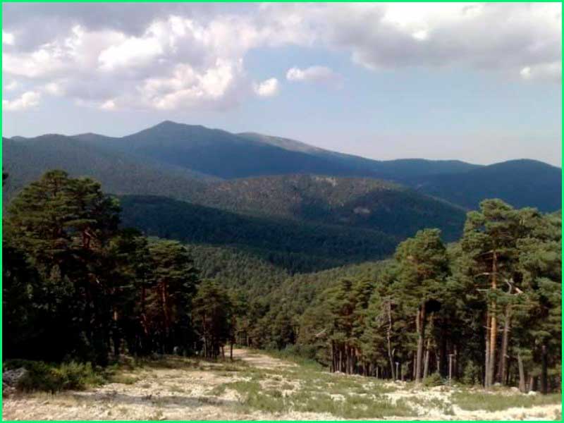 Parque Nacional de la Sierra de Guadarrama en Segovia