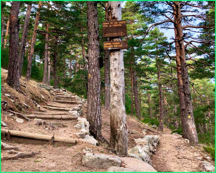 Parque Nacional de la Sierra de Guadarrama en Segovia