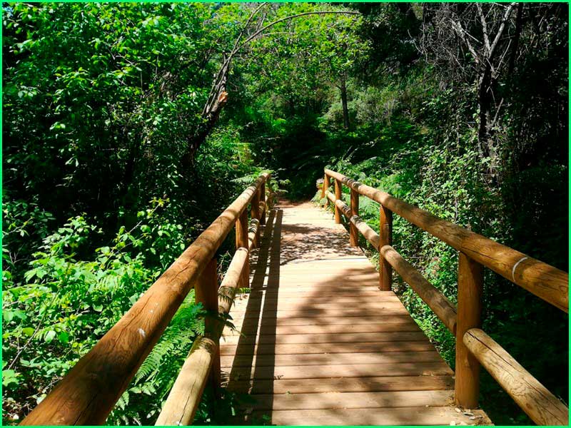 Parque Nacional de Doñana en Huelva