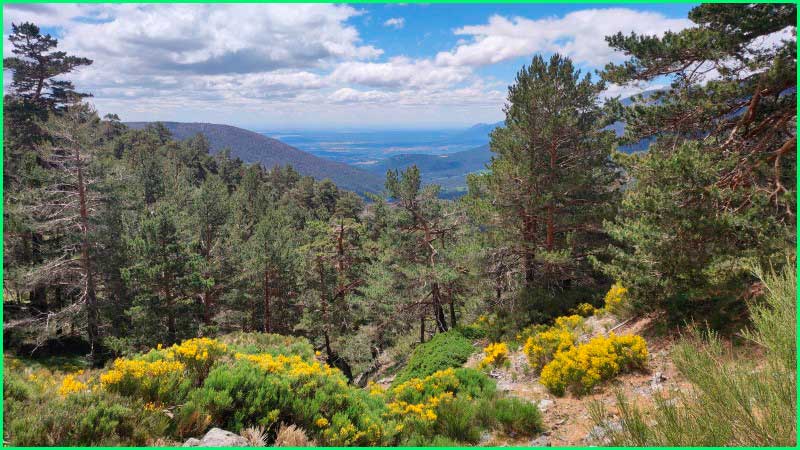Parque Nacional de la Sierra de Guadarrama en Segovia