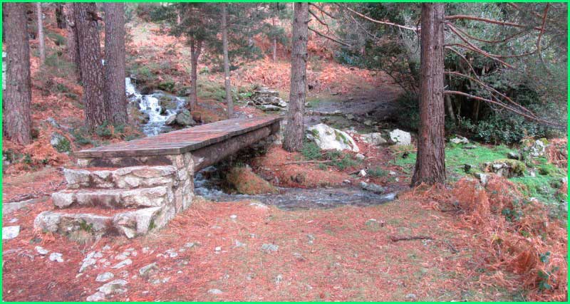Parque Nacional de la Sierra de Guadarrama en Segovia
