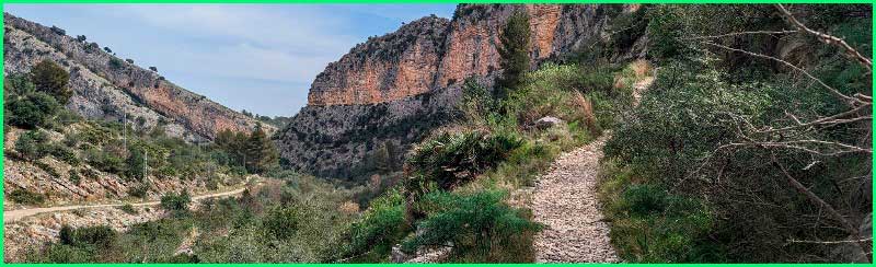 Vergel en Alicante