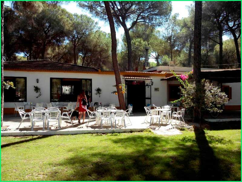 track Camping Dehesa Nueva - Pinares de Aznalcazar en Sevilla