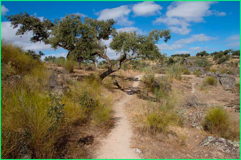 Parque Natural de Cornalvo en Badajoz