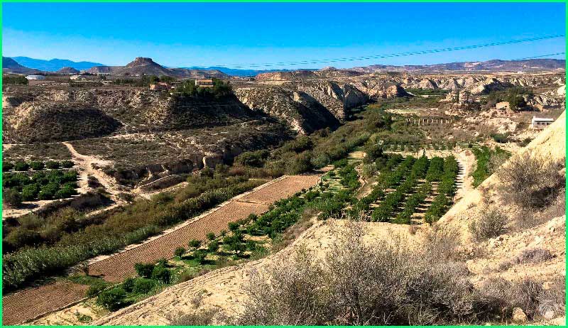 Campos del Río en Murcia
