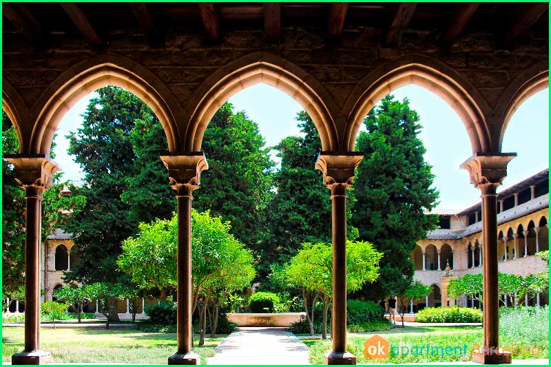 Parc de Collserola en Barcelona