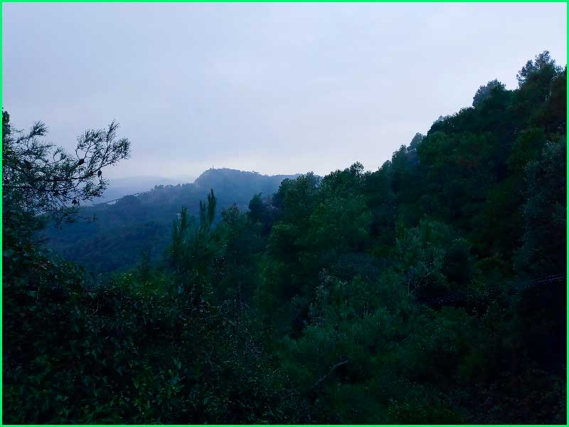 Parc de Collserola en Barcelona