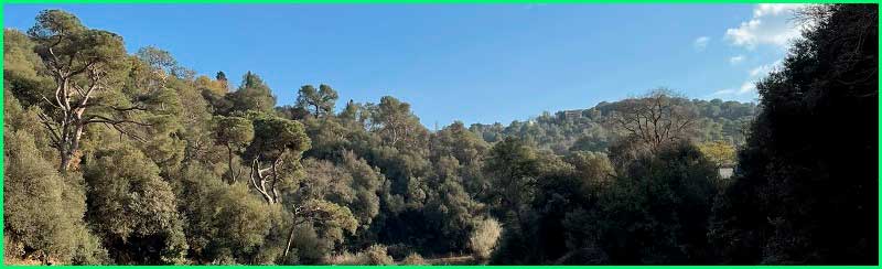 Parc de Collserola en Barcelona
