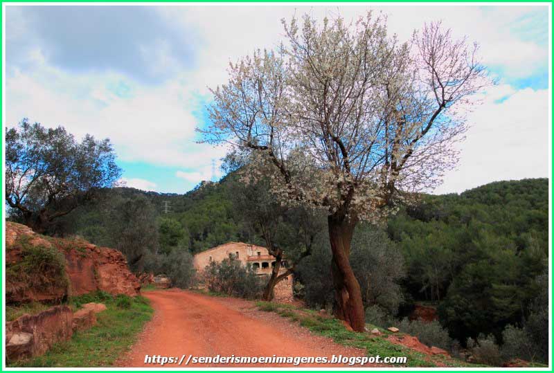 ruta Can Montllor de Dalt - Font de la Faguina - Obaga del Puig de la Creu en Barcelona