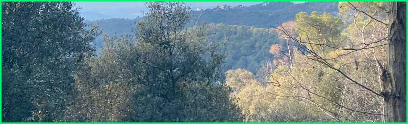 Parc de Collserola en Barcelona