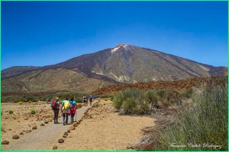 ruta Cañada Blanca - Montaña Majúa - Sanatorio en Santa Cruz de Tenerife