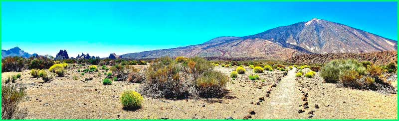 Parque Nacional del Teide en Santa Cruz de Tenerife