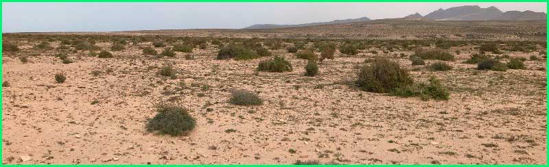 ruta Cañada del Río - El Granillo - Costa Calma en Las Palmas