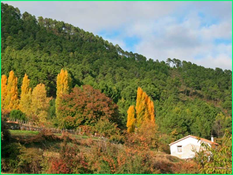 Parque Natural Sierras de Cazorla en Jaén