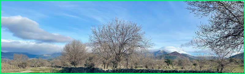 Guadarrama en Madrid