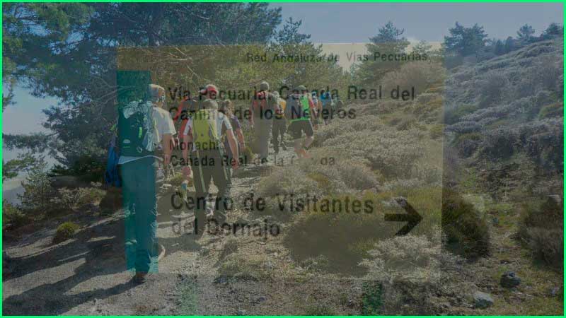 Parque Nacional Sierra Nevada en Granada
