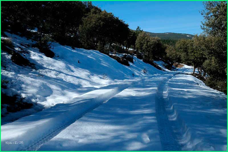 Parque Nacional Sierra Nevada en Granada