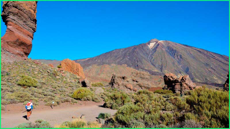 Parque Natural Corona Forestal en Santa Cruz de Tenerife