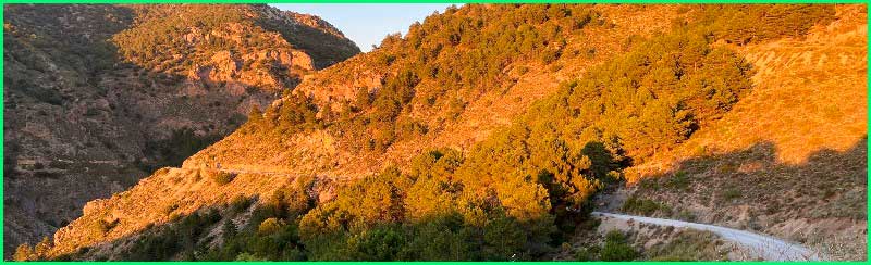 Parque Nacional Sierra Nevada en Granada